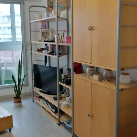 En Front De Avec Garage, Wifi Et Grand Balcon - - Fr-1-652-31 생 힐레르 드 리에