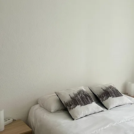 En Front De Avec Garage, Wifi Et Grand Balcon - - Fr-1-652-31 アパート *