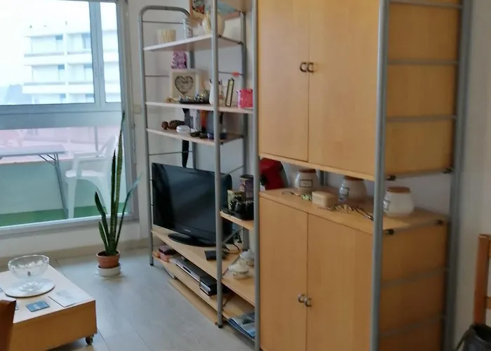 En Front De Avec Garage, Wifi Et Grand Balcon - - Fr-1-652-31 생 힐레르 드 리에