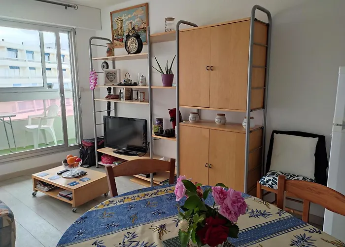 En Front De Avec Garage, Wifi Et Grand Balcon - - Fr-1-652-31 아파트 생 힐레르 드 리에