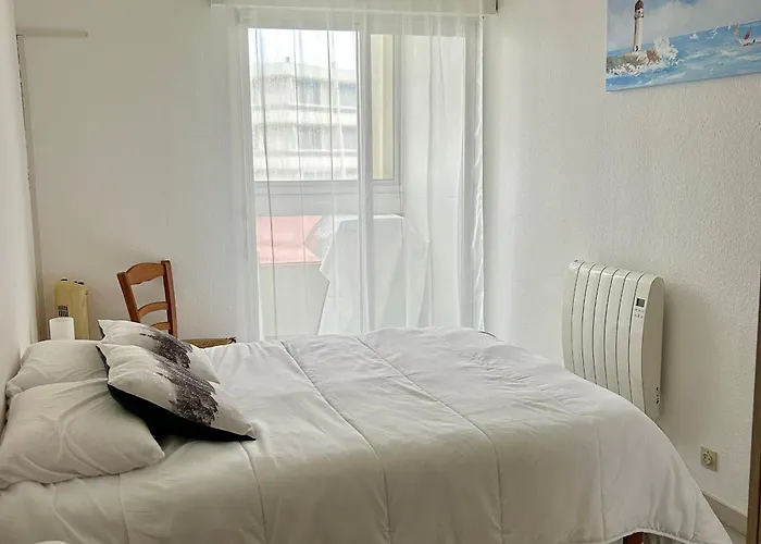 En Front De Avec Garage, Wifi Et Grand Balcon - - Fr-1-652-31 생 힐레르 드 리에