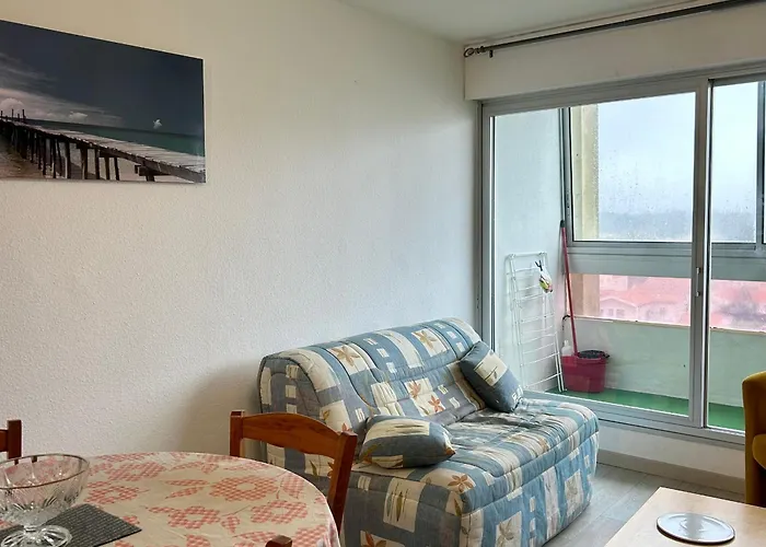 아파트 En Front De Avec Garage, Wifi Et Grand Balcon - - Fr-1-652-31